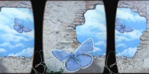 Dipinto murale Farfalle Pordenone