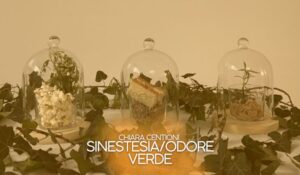 Chiara Centioni – Sinestesia_Odore Verde