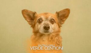 verdismo_ Matteo Casilli – Verde Centioni